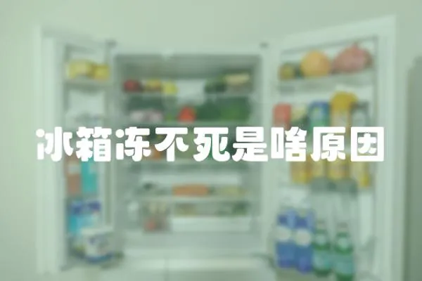 冰箱凍不死是啥原因