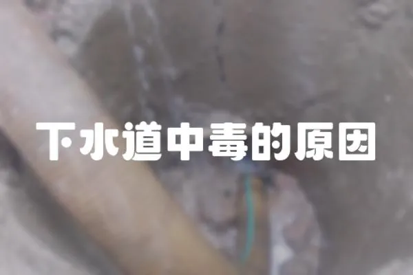 下水道中毒的原因