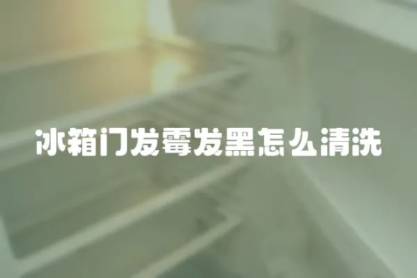 冰箱門發霉發黑怎么清洗