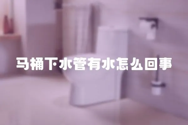 馬桶下水管有水怎么回事