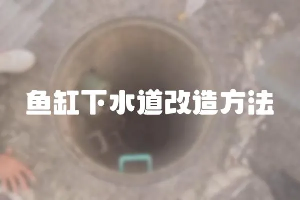 魚缸下水道改造方法