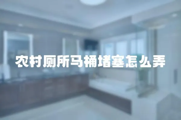 農村廁所馬桶堵塞怎么弄