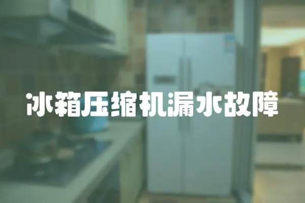 冰箱壓縮機(jī)漏水故障