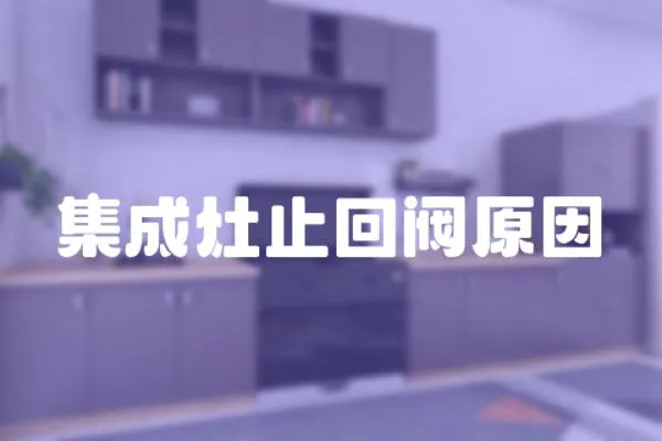 集成灶止回閥原因