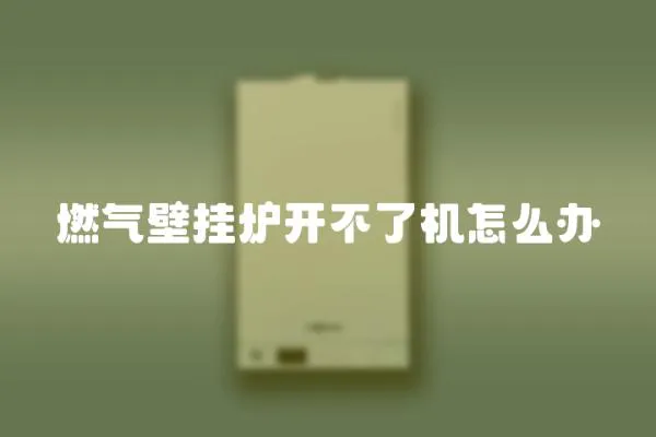 燃氣壁掛爐開不了機怎么辦