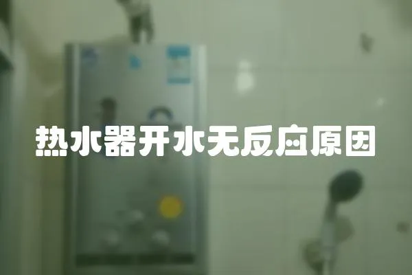 熱水器開水無反應(yīng)原因
