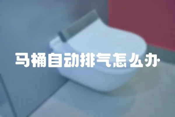 馬桶自動排氣怎么辦