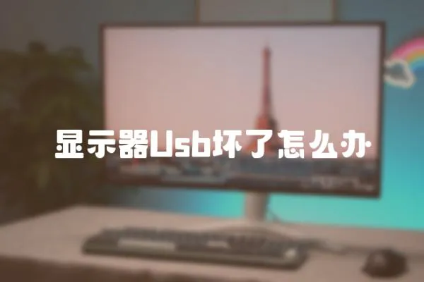 顯示器Usb壞了怎么辦