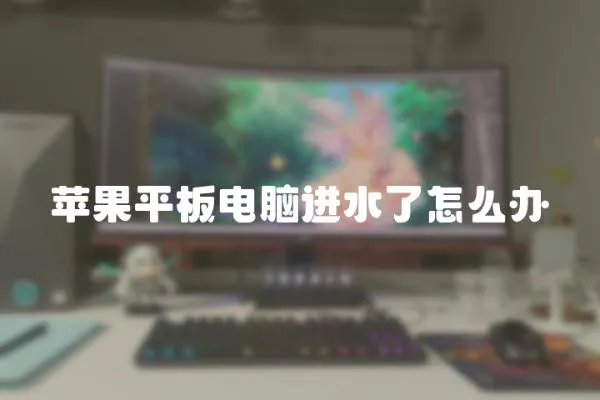 蘋果平板電腦進水了怎么辦