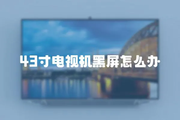 43寸電視機黑屏怎么辦