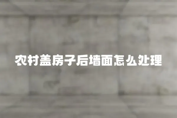 農村蓋房子后墻面怎么處理