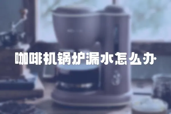 咖啡機鍋爐漏水怎么辦