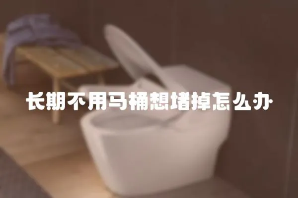 長期不用馬桶想堵掉怎么辦