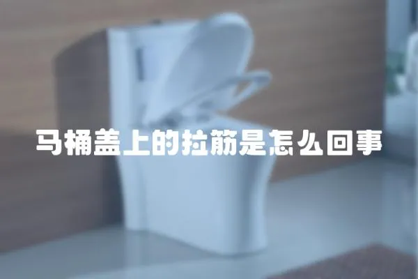 馬桶蓋上的拉筋是怎么回事