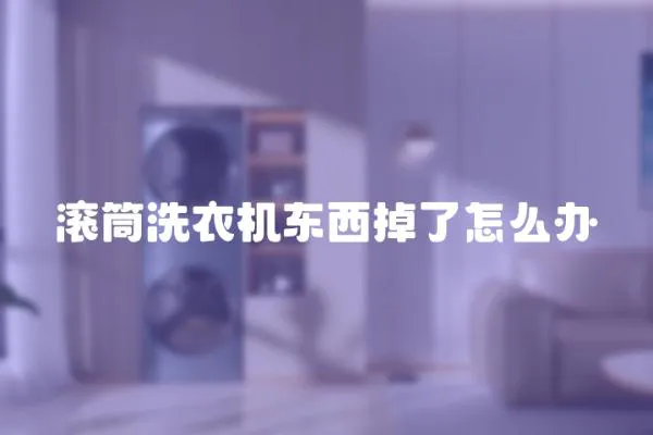 滾筒洗衣機東西掉了怎么辦