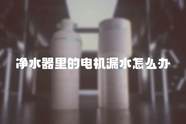 凈水器里的電機漏水怎么辦