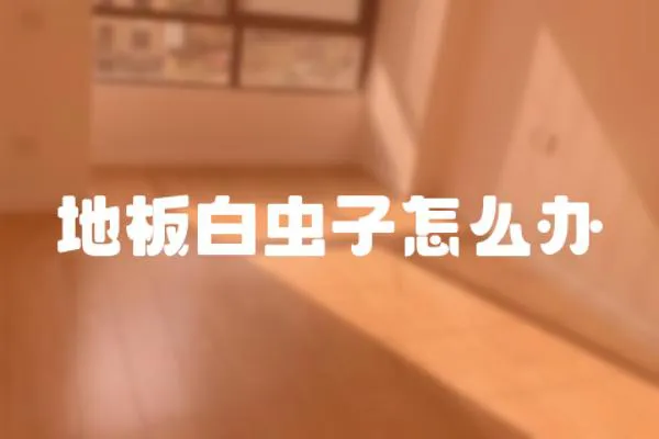 地板白蟲子怎么辦
