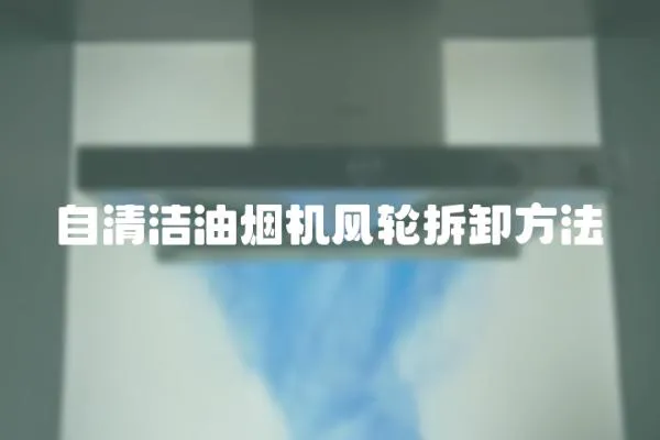 自清洁油烟机风轮拆卸方法