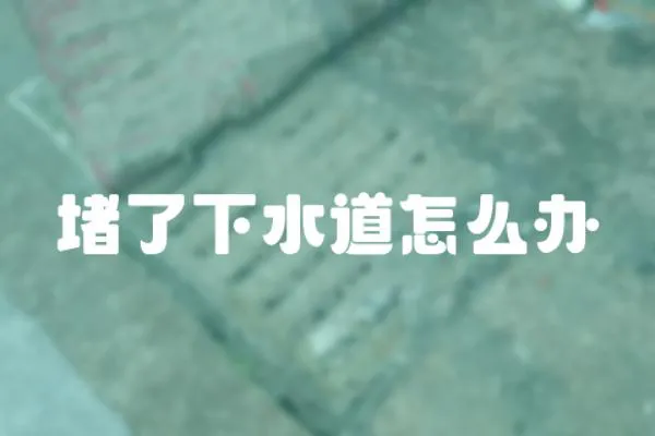 堵了下水道怎么辦