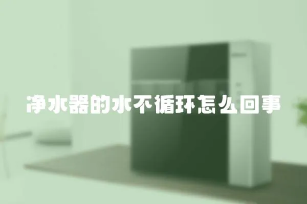 凈水器的水不循環(huán)怎么回事