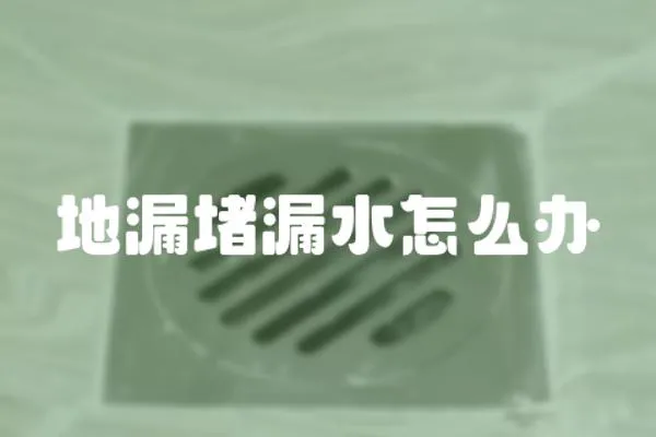 地漏堵漏水怎么辦