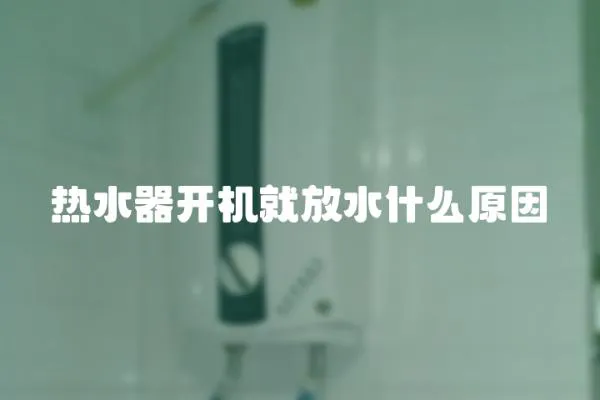 熱水器開機(jī)就放水什么原因