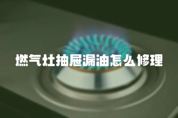 燃氣灶抽屜漏油怎么修理