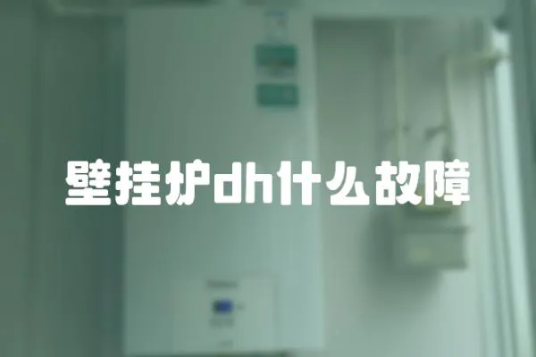 壁掛爐dh什么故障