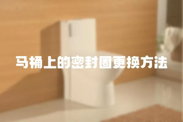 馬桶上的密封圈更換方法