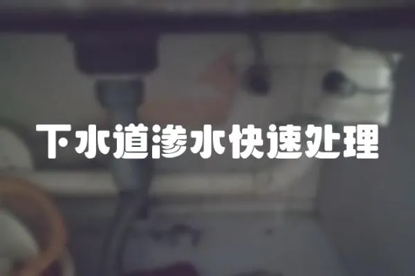 下水道滲水快速處理