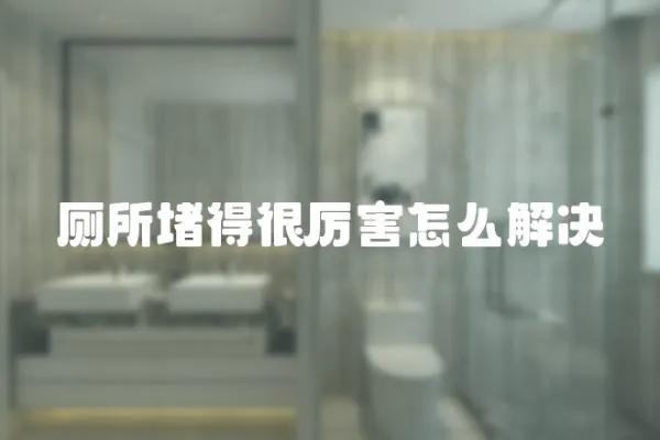 廁所堵得很厲害怎么解決