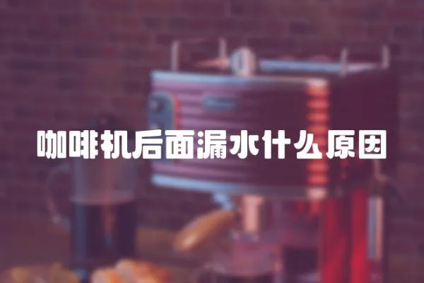 咖啡機后面漏水什么原因