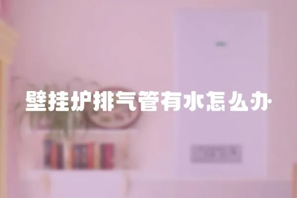 壁掛爐排氣管有水怎么辦