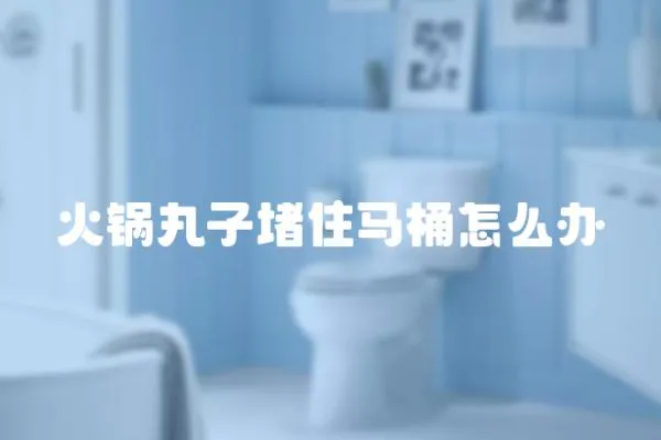 火鍋丸子堵住馬桶怎么辦