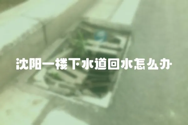 沈陽一樓下水道回水怎么辦
