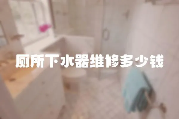 廁所下水器維修多少錢