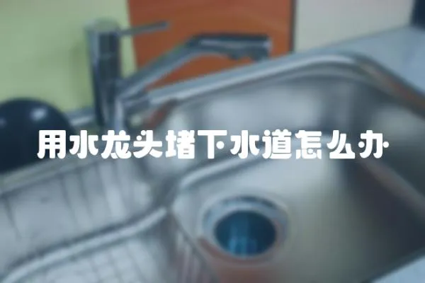 用水龍頭堵下水道怎么辦