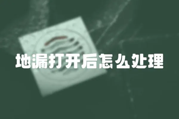 地漏打開后怎么處理