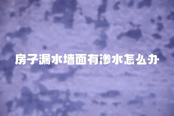 房子漏水墻面有滲水怎么辦