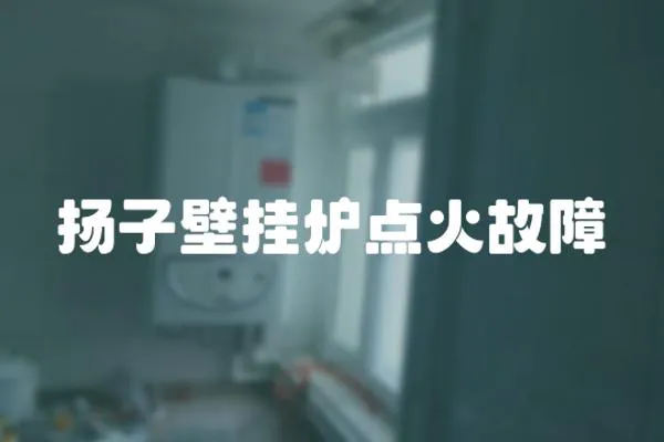 揚(yáng)子壁掛爐點(diǎn)火故障