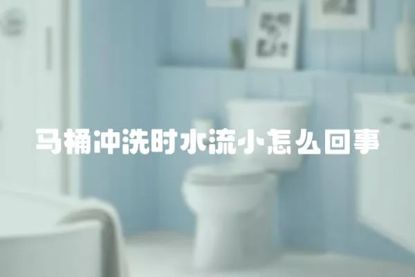 馬桶沖洗時水流小怎么回事