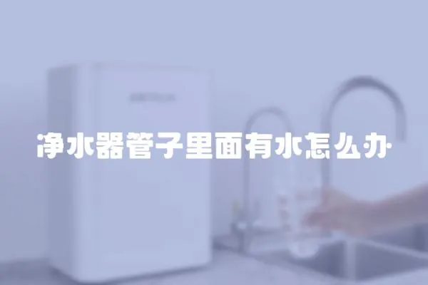 凈水器管子里面有水怎么辦