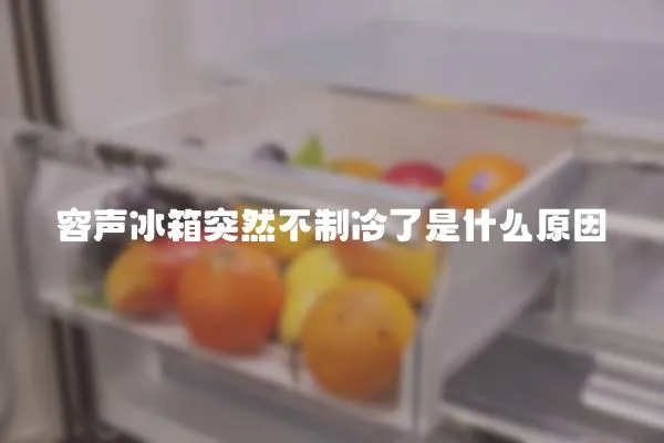 容聲冰箱突然不制冷了是什么原因