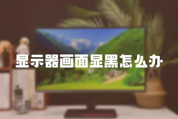 顯示器畫面顯黑怎么辦