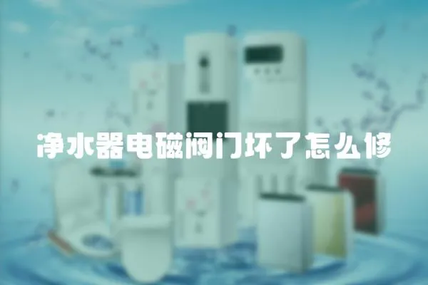 凈水器電磁閥門壞了怎么修