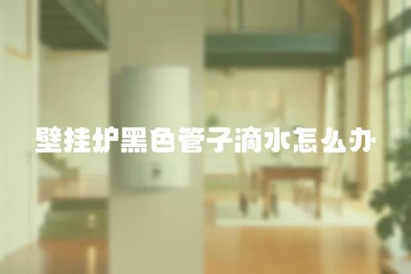 壁掛爐黑色管子滴水怎么辦
