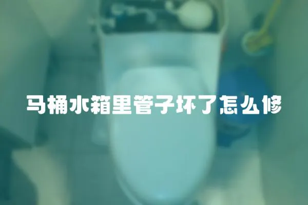 馬桶水箱里管子壞了怎么修
