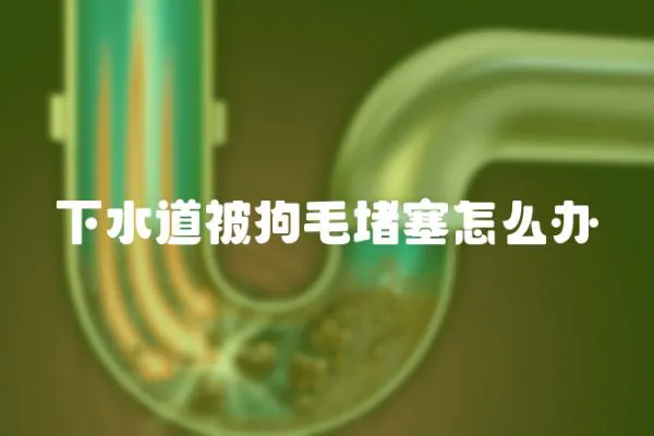 下水道被狗毛堵塞怎么辦