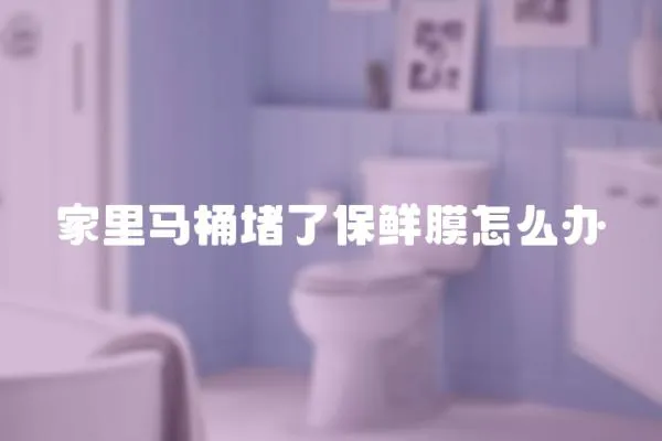 家里馬桶堵了保鮮膜怎么辦