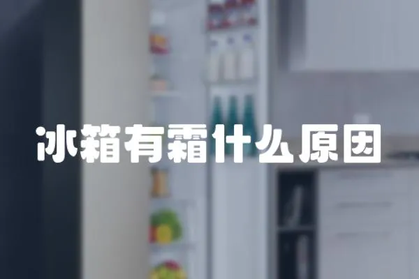 冰箱有霜什么原因